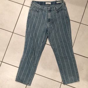PacSun stripped Mom Jean size 28